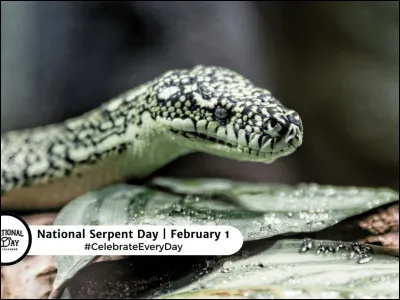 Q : Queue de Serpent 
Quel est son clan ?