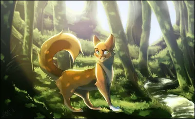 B : Branche Creuse
Il sentraînait dans la Forêt Sombre !