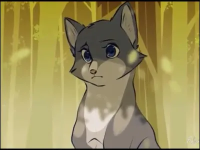 E : Étoile du Léopard
Comment est-elle morte ?