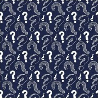 Et pour terminer, une petite charade : 

- Mon premier est une voyelle de l'alphabet.
- Mon second est un verbe synonyme de « hurler » conjugué au présent, à la première personne du singulier.
- On peut dormir dans mon troisième.
- Mon dernier est une conjonction de subordination.

Mon tout sert à tricoter ou à crocheter.
Qui suis-je ?