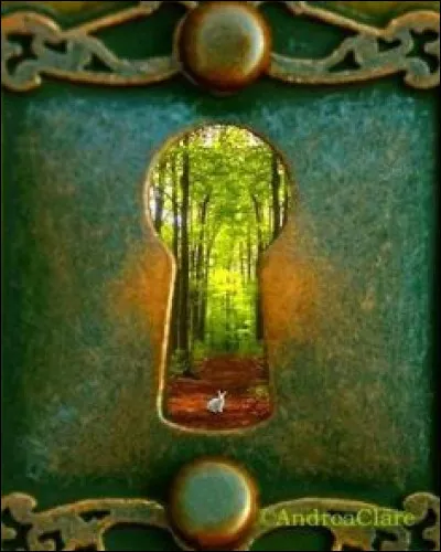 Lequel, parmi ces outils, n'est pas fait pour crocheter une serrure ?