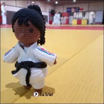 Dans quel sport de combat utilise-t-on la prise « crochet du droit » ?