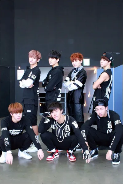 Quelle est leur première chanson ?