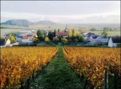 Je vous emmène au milieu des vignes, à Massingy. Village Côte-d'Orien il se situe en région ...