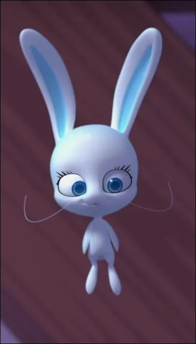 Quel est ce Kwami et quel est son pouvoir ?