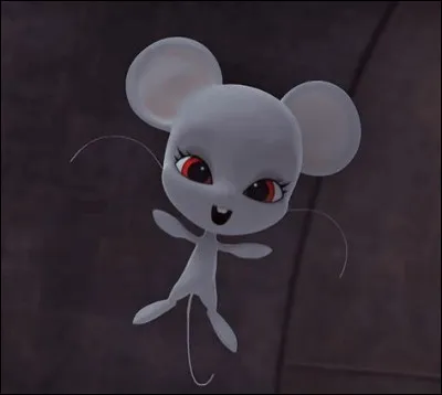 Quel est ce Kwami et quel est son pouvoir ?