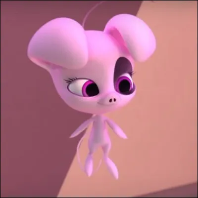 Quel est ce Kwami et quel est son pouvoir ?