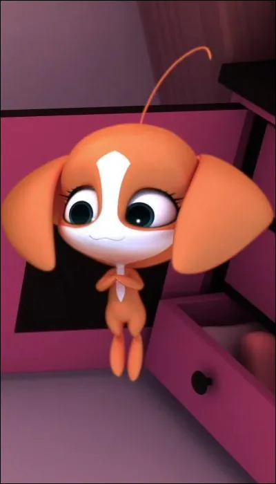 Quel est ce Kwami et quel est son pouvoir ?