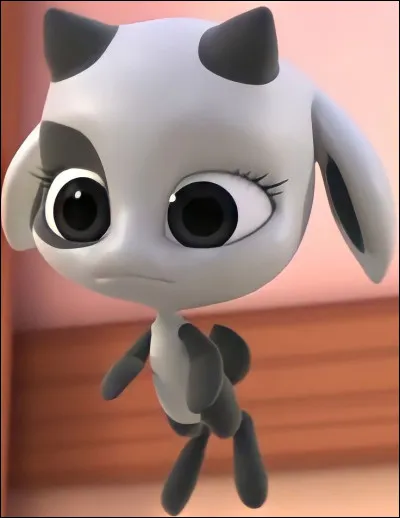 Quel est ce Kwami et quel est son pouvoir ?