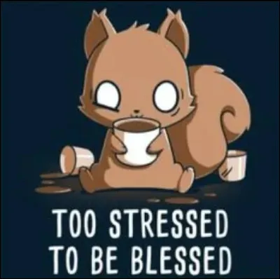 A-t-il des chatons avec elle ?