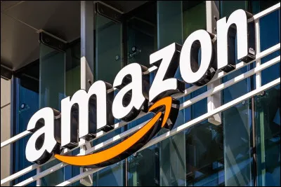 Qu'était l'entreprise Amazon avant sa popularisation ?