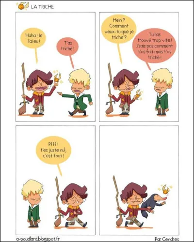 Voulez-vous des émotions principalement ?