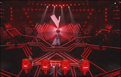 Imagine que le chant est ta passion. Tu es qualifié pour ''The Voice'' ! Quelle est ta réaction ? #2