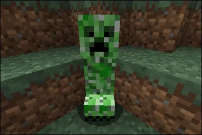 Comment s'appelle ce personnage de "Minecraft" ?