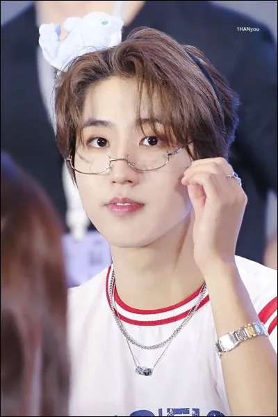 Qui est cette idol ?