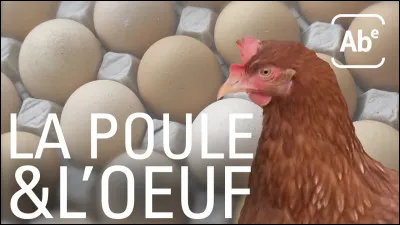 Si 40 poules pondent 20 ufs en 4 jours, combien d'ufs pondront 80 poules en 8 jours ?