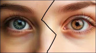 De quelle couleur sont ses yeux ?