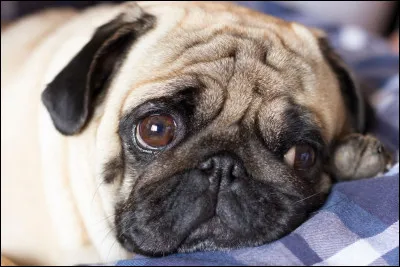 As-tu envie de pleurer devant ton film ?