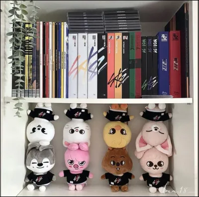 Quel était leur premier album complet ?