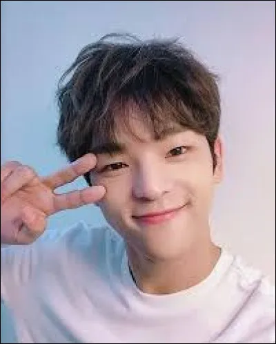 Comment lancien membre de Stray Kids s'appelle-t-il ?
