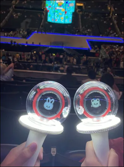 Comment leur lightstick se nomme-t-il ?