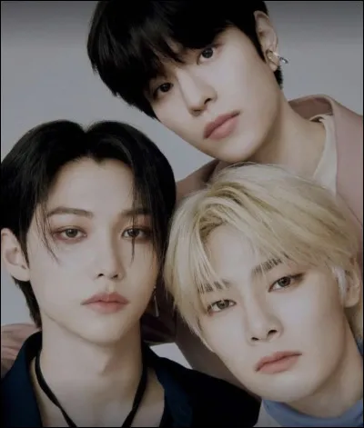 Qui est le maknae (plus jeune) ?