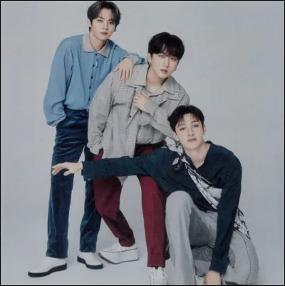 Qui est le hyung (plus vieux) ?