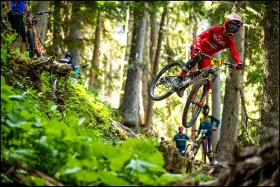 Que signifie "plébisciter" ?