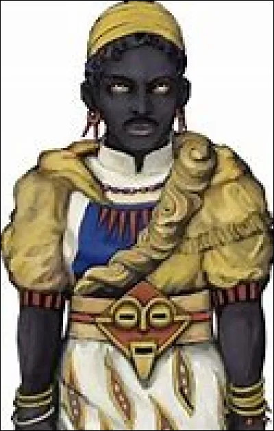 Quel est le nom de ce mage jaune ?