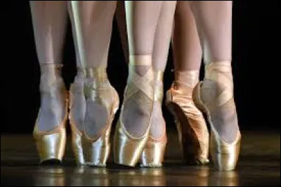 Comment sappellent ces chaussons utilisés en danse classique ?