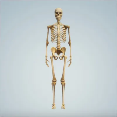 Aimes-tu les humains ?