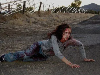 Dans Babysitter Wanted, l'enfant que doit garder l'tudiante porte toujours...