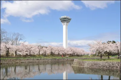 Dans quel animé apparaît Goryōkaku Tower ?