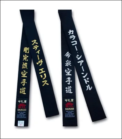 Jimin est ceinture noire de Taekwondo :