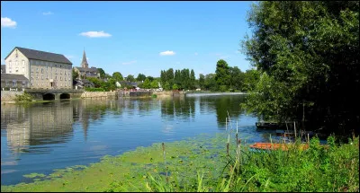 Quelle est cette rivi&egrave;re, longue de 313 km, qui prend sa source dans les collines du Perche, coule vers le sud et conflue avec la Mayenne avec laquelle elle forme la Maine, au nord d'Angers ?