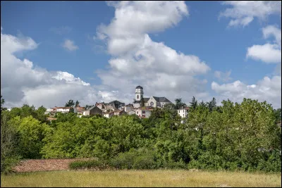 Quelle est ce bourg de 2 000 habitants, situ&eacute; sur la rive gauche de la Loire, &agrave; la limite de la Loire-Atlantique, &agrave; 2 km au sud d'Ancenis, village natal de Joachim Du Bellay ?