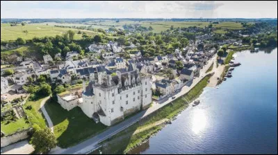 Quelle est ce village, situ&eacute; sur les bords de la Loire, connu pour son ch&acirc;teau immortalis&eacute; par un roman d'Alexandre Dumas ?