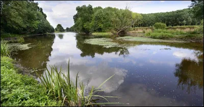 Quelle est cette rivi&egrave;re, longue de 142 km, qui prend sa source dans le Poitou et coule vers le nord pour rejoindre la Loire en rive gauche ?