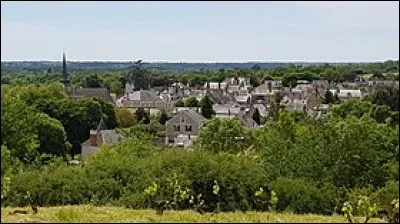 Quel est ce village, situ&eacute; sur la rive nord de la Loire, &agrave; une quinzaine de kilom&egrave;tres &agrave; l�ouest d�Angers, qui poss&egrave;de un vignoble r&eacute;put&eacute; ?