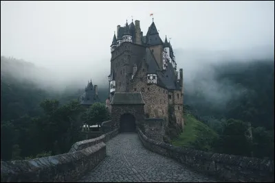 Quel acteur accompagne Catherine Deneuve dans le film "La Vie de château" ?