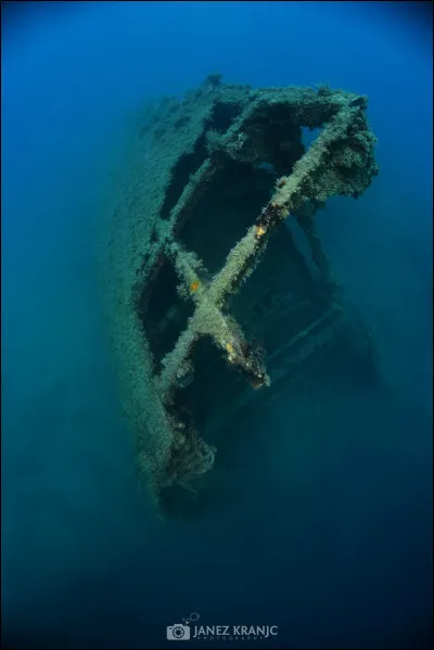 Quel est ton élément de chasse ?