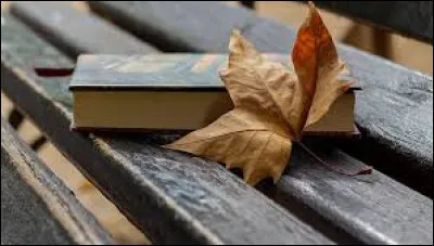 Quel Marcel est l'auteur du roman "Le Temps des secrets" ?