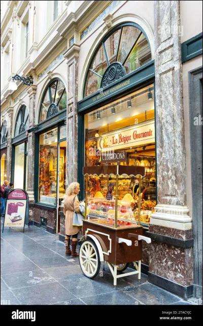 Quel pays veux-tu le plus visiter, dans les choix ?