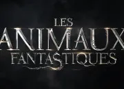 Quiz Top 10 de mes personnages prfrs dans la saga 'Les Animaux fantastiques'