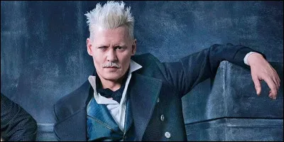 N°5 : Gellert Grindelwald
Qui est l'acteur célèbre qui l'interprète dans les deux premiers films ?