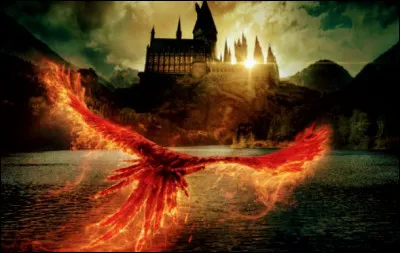 Quel résultat penses-tu avoir ?