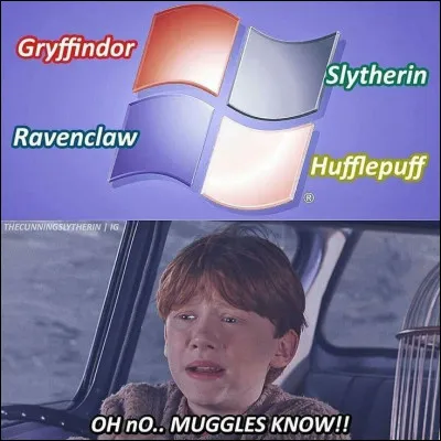 Quel dragon a du battre Harry lors de la première épreuve du tournoi des 3 sorciers ?