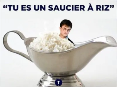 Qui vient annoncer à Harry qu'il est un sorcier ?