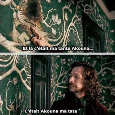 Comment s'appelle Buckinos l'hippogriffe ?