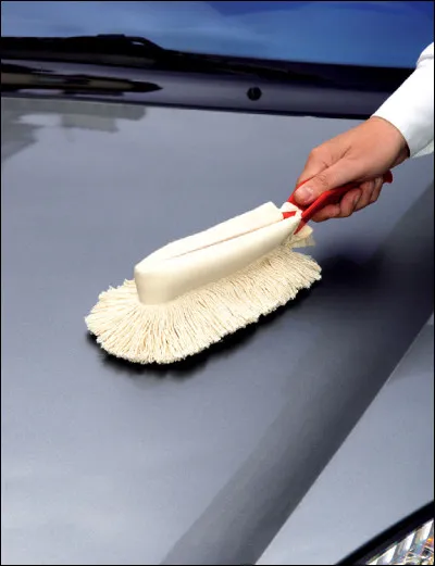 Quel nom porte l'orang-outan de Born&eacute;o du Jardin des plantes de Paris ?